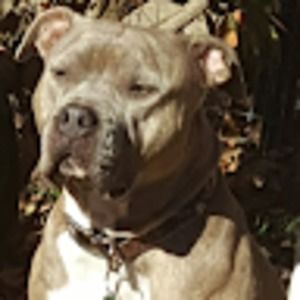 Meet your Posher, Misty